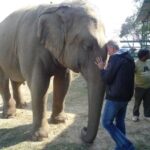 Delhi: Taj Mahal & Wildlife SOS Elephant/Bear Sanctuary Tour - What Makes This Tour Stand Out?