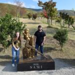 Deluxe Private Tour: Aso, One Piece Statues and Shrine Visit - Who Would Love This Tour?