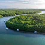 Denarau: Self Drive BBQ eBoat Cruise with Onboard BBQ Fiji - Who Will Love This Experience?