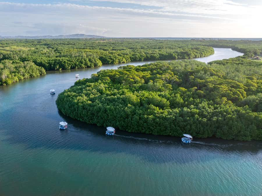 Denarau: Self Drive BBQ eBoat Cruise with Onboard BBQ Fiji - Who Will Love This Experience?