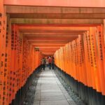 Depart from Kyoto Station: Morning E-Bike Tour with Kyotoite - The Itinerary in Detail