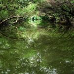 Departing from Kaohsiung or Tainan: Tainan City Day Trips - Practical Tips and Insights