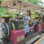 Departing from Taipei or Taichung: Deep travel in Miaoli - Why This Tour Works Well for Certain Travelers