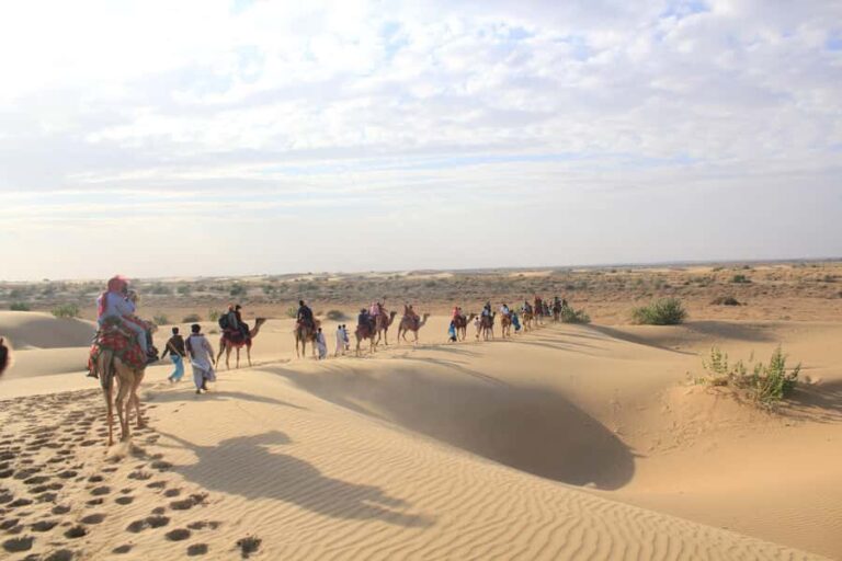Desert Cultural Evening (No Camel) : Kalbelia & Sufi Fusion - What Sets This Tour Apart
