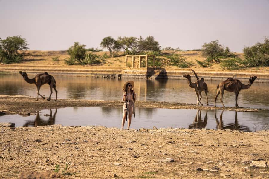 Desert Cultural Evening (No Camel) : Kalbelia & Sufi Fusion - What’s Unique About This Tour?