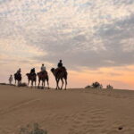 Desert Rose Jaisalmer: Overnight Stay Middle of Thar Desert - Highlights and Unique Features