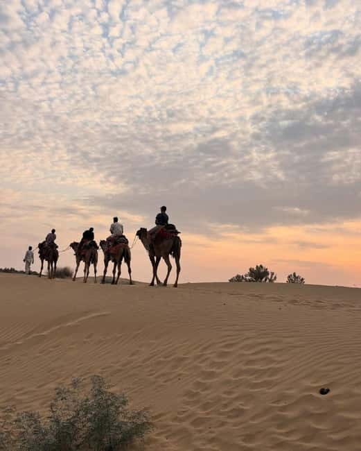 Desert Rose Jaisalmer: Overnight Stay Middle of Thar Desert - Highlights and Unique Features