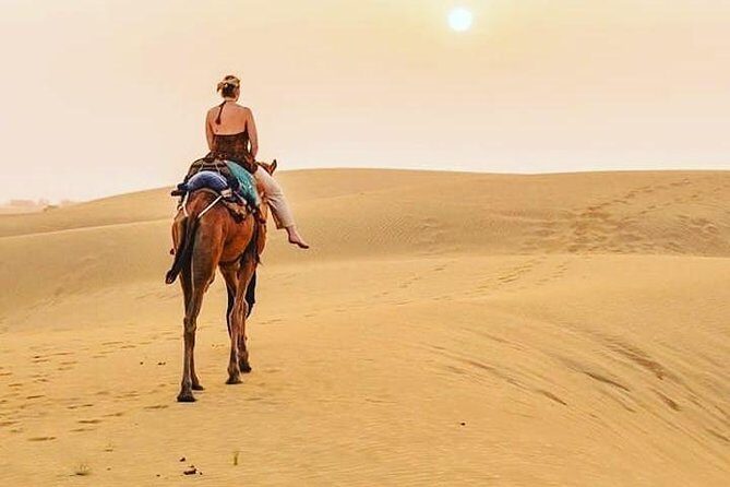 Desert Safari [ Camel+Jeep ] AmazingJaisalmer - What You Can Expect from the Tour