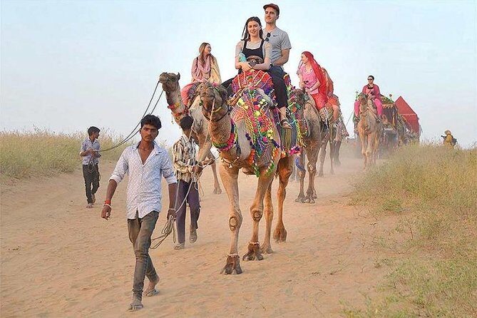 Desert Safari [ Camel+Jeep ] AmazingJaisalmer - Who Would Enjoy This Tour?