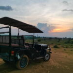 DESERT SAFARI CAMP OSIAN : Jeep & Camel safari - What to Expect from the Tour