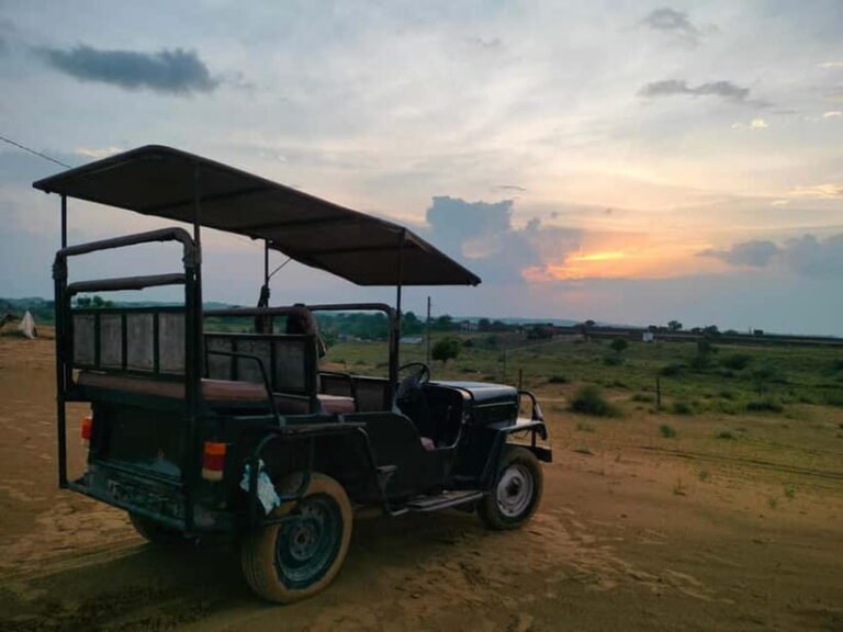 DESERT SAFARI CAMP OSIAN : Jeep & Camel safari - What to Expect from the Tour