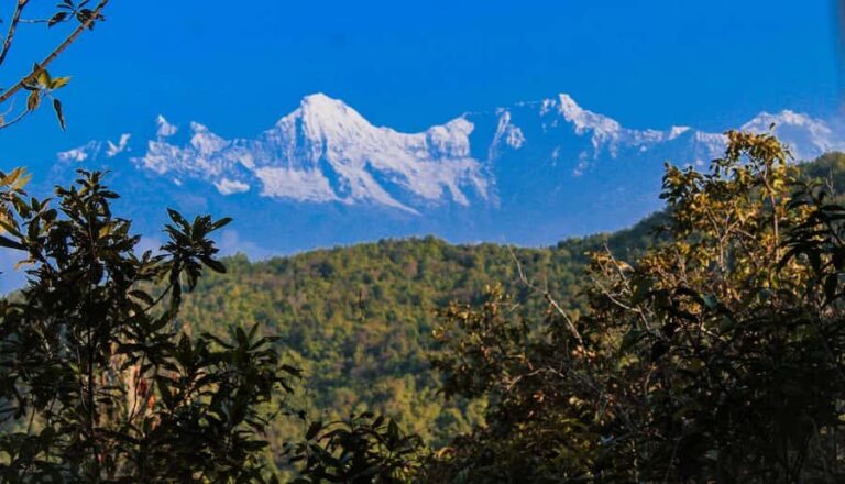 Dhading: Khalte Village 4-Day Homestay Tour with Meals - What Makes This Tour Stand Out?