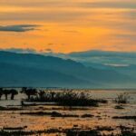 Dhaka Private Car Tour With A Pro Guide - Who Will Love This Tour?