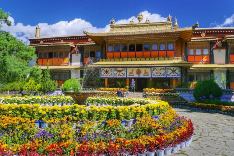 Dharamshala Full Day Tour - Why This Tour Offers Great Value