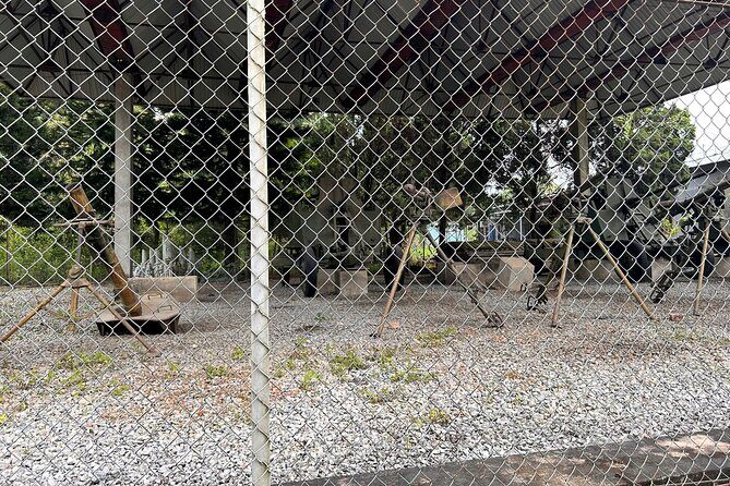 Dien Bien Phu Legacy Day Tour - Practical Aspects and Value