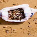 Dig, Discover & Dine  Jaffnas Coastal Clam Experience - Why this Experience Offers Great Value