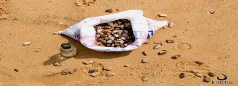 Dig, Discover & Dine  Jaffnas Coastal Clam Experience - Why this Experience Offers Great Value