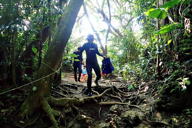 Discover Ishigaki's Hidden Treasures Snorkeling Tour at BlueCave - Itinerary Breakdown: What to Expect