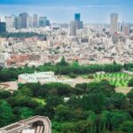 Discover Japanese Politics Over a Coffee in Tokyo - An In-Depth Look at the Experience