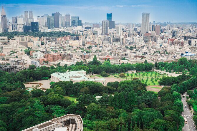 Discover Japanese Politics Over a Coffee in Tokyo - Why This Tour Offers Real Value