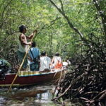Discover Mangrove Forest and Cave Tour in Langkawi (Shared Tour) - Who Should Consider This Tour?