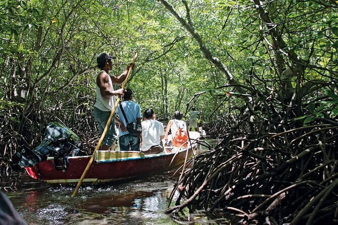 Discover Mangrove Forest and Cave Tour in Langkawi (Shared Tour) - Who Should Consider This Tour?