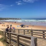 Discover Melbourne City and Penguin Parade Eco Tour - Transportation & Group Size