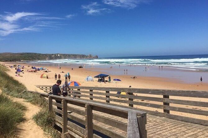 Discover Melbourne City and Penguin Parade Eco Tour - Transportation & Group Size