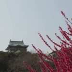 Discover Osaka:Private Walking Tour of the Citys Best Spots - Good To Know