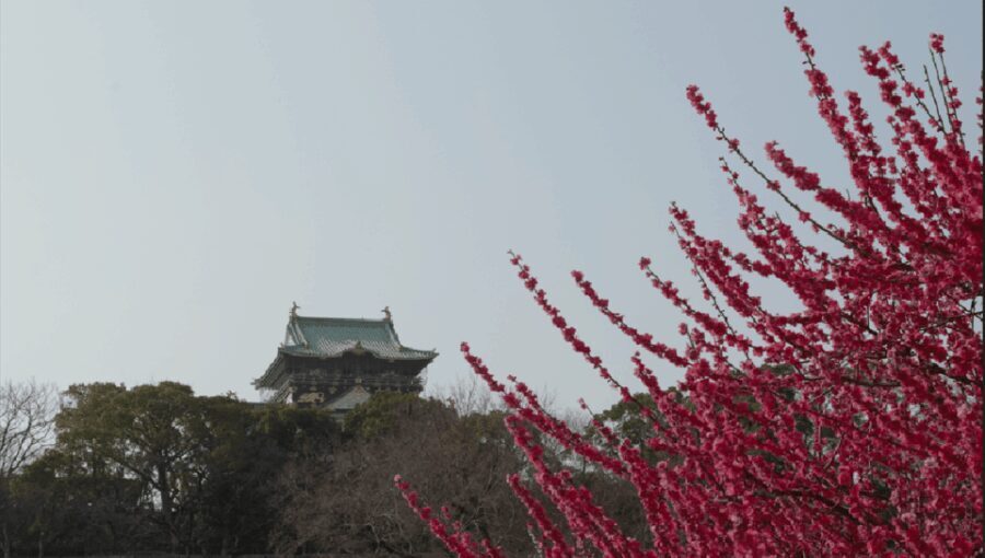 Discover Osaka:Private Walking Tour of the Citys Best Spots - Good To Know