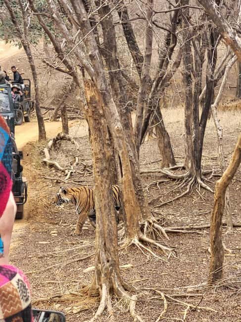 Discover Rajastan - Final Thoughts: Is This Tour Worth It?