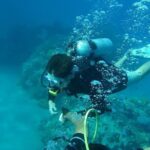 Discover Scuba Diving in Negril - What Makes This Tour Stand Out?