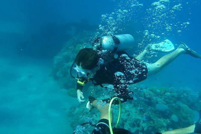Discover Scuba Diving in Negril - What Makes This Tour Stand Out?