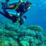 Discover Scuba: PADI Intro Dive in Dauin - What Makes This Tour Stand Out?