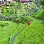 Discover The Best of Ubud: All-Inclusive and Private Guided Tour - The Practicalities: What You Should Know