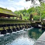Discover The Best of Ubud: All-Inclusive and Private Guided Tour - Who Will Love This Tour?