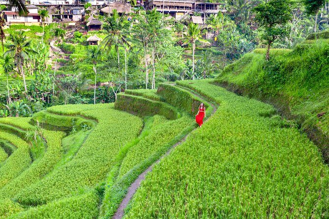 Discover The Best of Ubud: All-Inclusive and Private Guided Tour - The Practicalities: What You Should Know