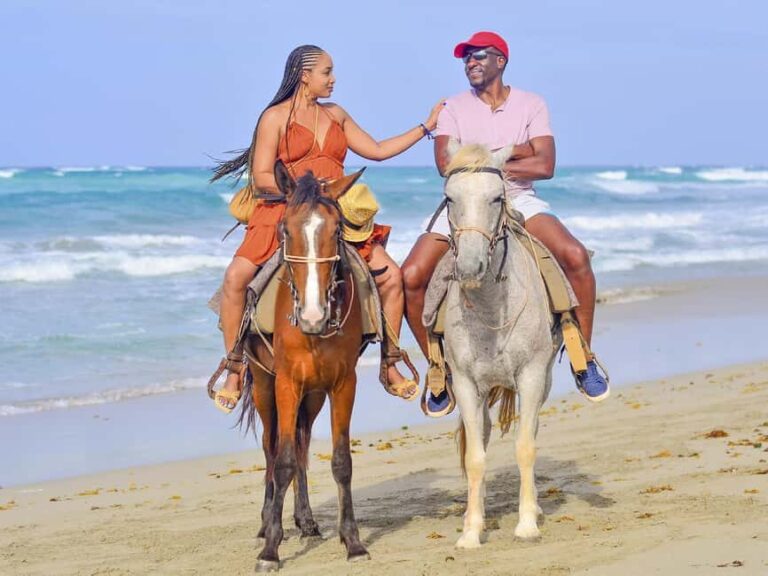 Discover the Trails of Punta Cana on a Horseback Ride - The Sum Up
