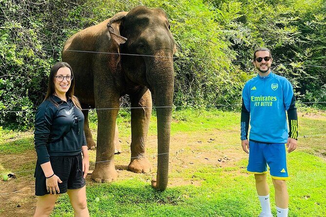 Discover the Wild Magic of Udawalawe National Park - Final Thoughts