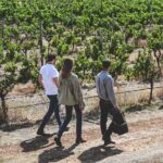 Discover Voyager Tour and Wine Tasting - Is It Worth the Price?