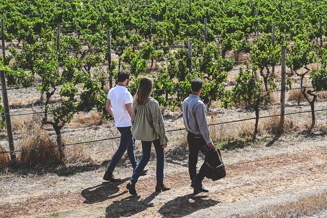 Discover Voyager Tour and Wine Tasting - Is It Worth the Price?  