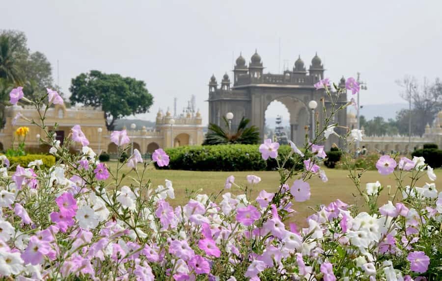 Discovering Mysore's Natural Wonders: Guided Half Day Tour - Why This Tour Works