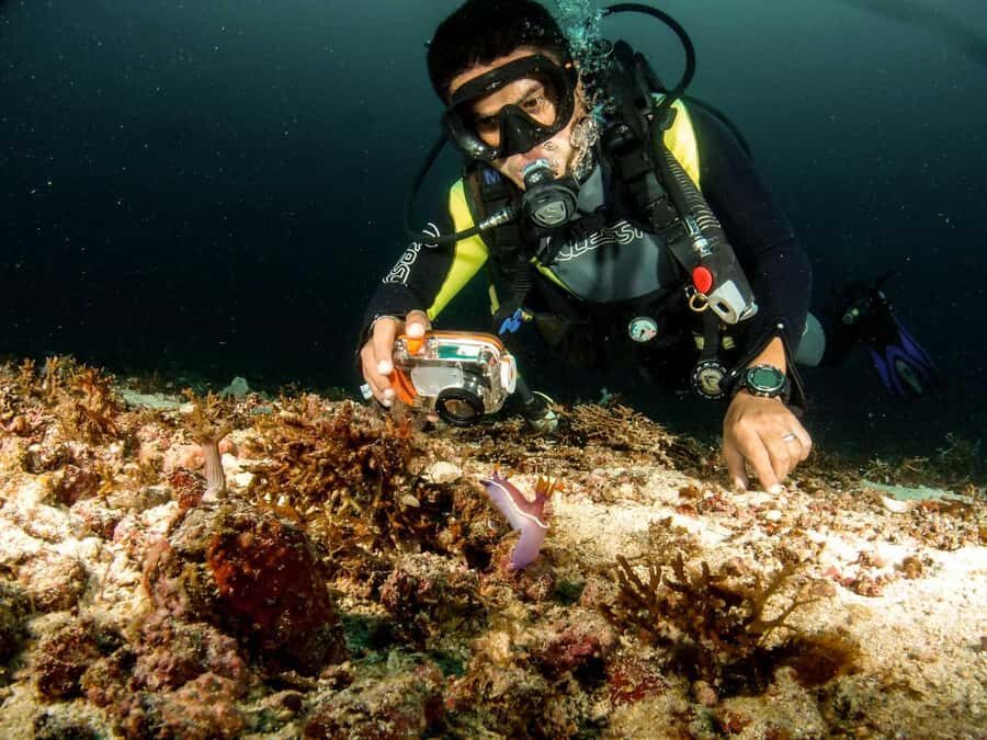 Diving in Boracay: Fundive for Certified Divers - What to Expect from the Tour