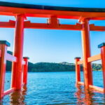 Do You Want to Try Skywalk? A New Way of Enjoying Hakone! - Who Should Consider This Tour?