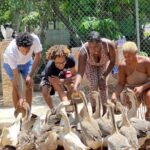 Doctor's Cave Beach, Canabis and Bird Farm Private Tour - Why This Tour Works — and Who It’s For