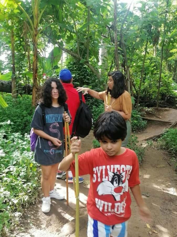 Doi Suthep Nature Interpretation Walk & Hidden Waterfalls - The Guided Nature Interpretation Walk