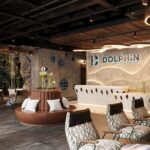 Dolphin Cruise  Experience Halong Bay in Timeless Luxury - What Makes This Tour Special?