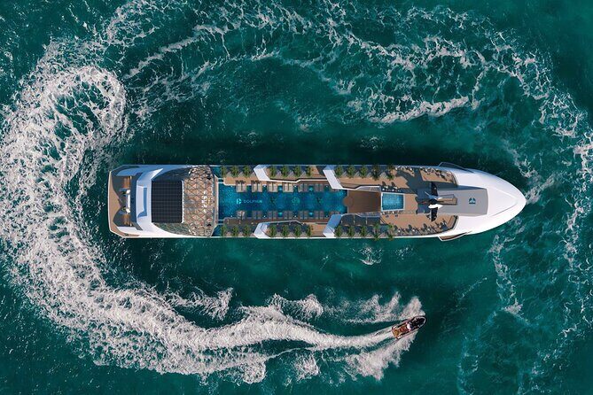 Dolphin Cruise  Experience Halong Bay in Timeless Luxury - What Sets This Cruise Apart?