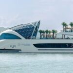 Dolphin Day Cruise: Halong Bays Finest Luxury Escape from Harbor - Practical Details & Considerations