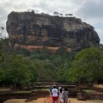 Dolphin Watching and Village Tour 3 Days Experience - Transportation and Comfort